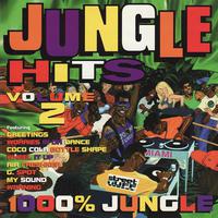 Jungle Hits Volume 1