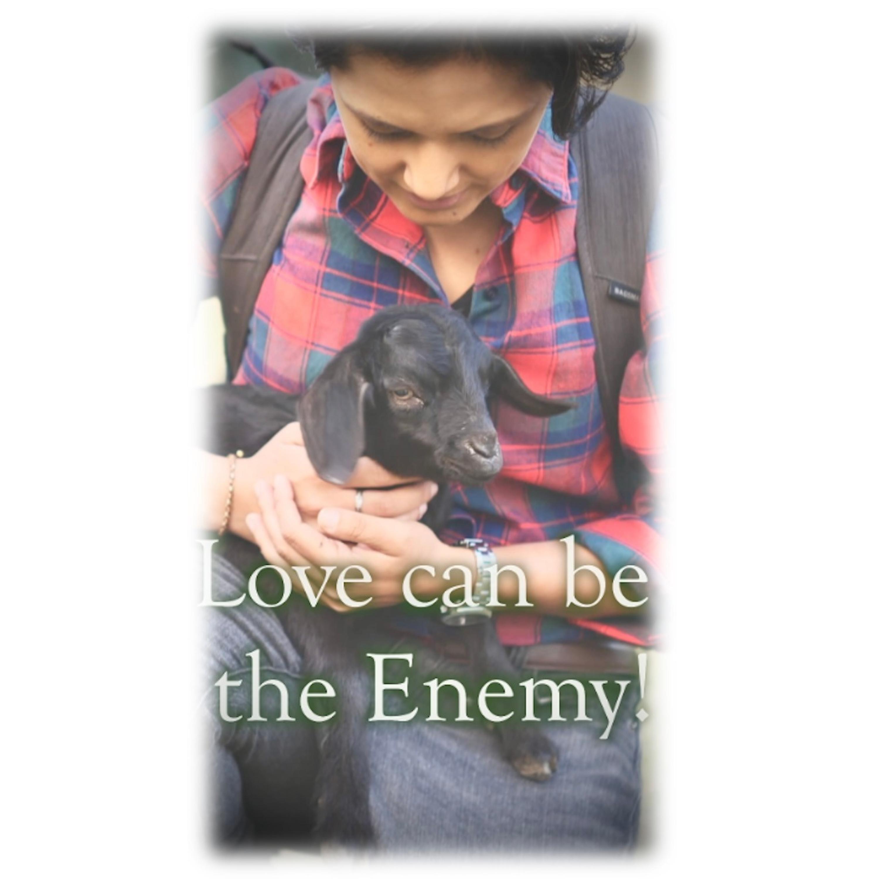 Love Can Be the Enemy!