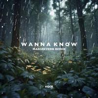 Wanna Know（MarsReverb Remix）