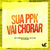 DJ Vilão DS - Sua Ppk Vai Chorar