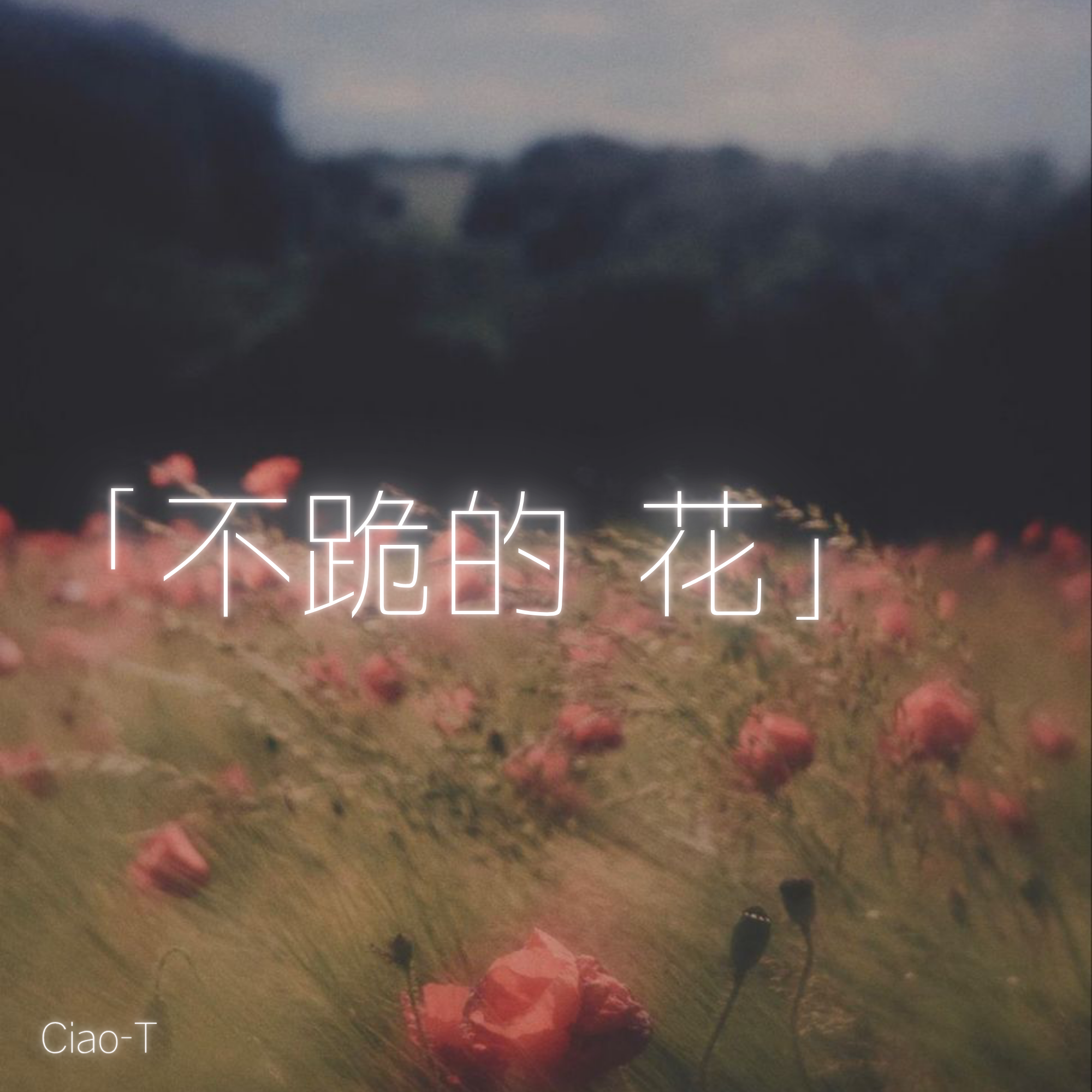 不跪的花（沧桑版）封面
