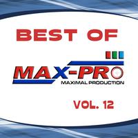 Best Of Maximal Production, Vol. 12