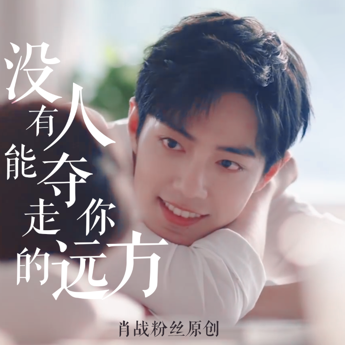 没有人能夺走你的远方(肖战粉丝原创)封面