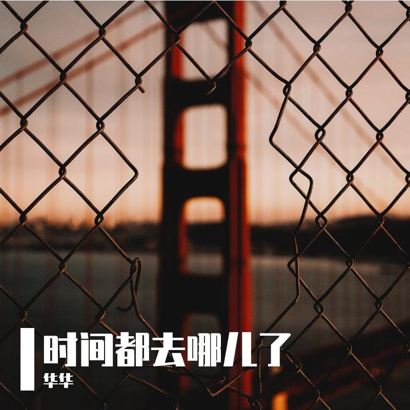 时间都去哪了 - 张倖华封面