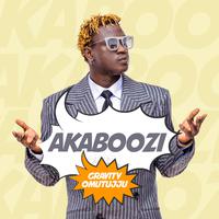 Akaboozi