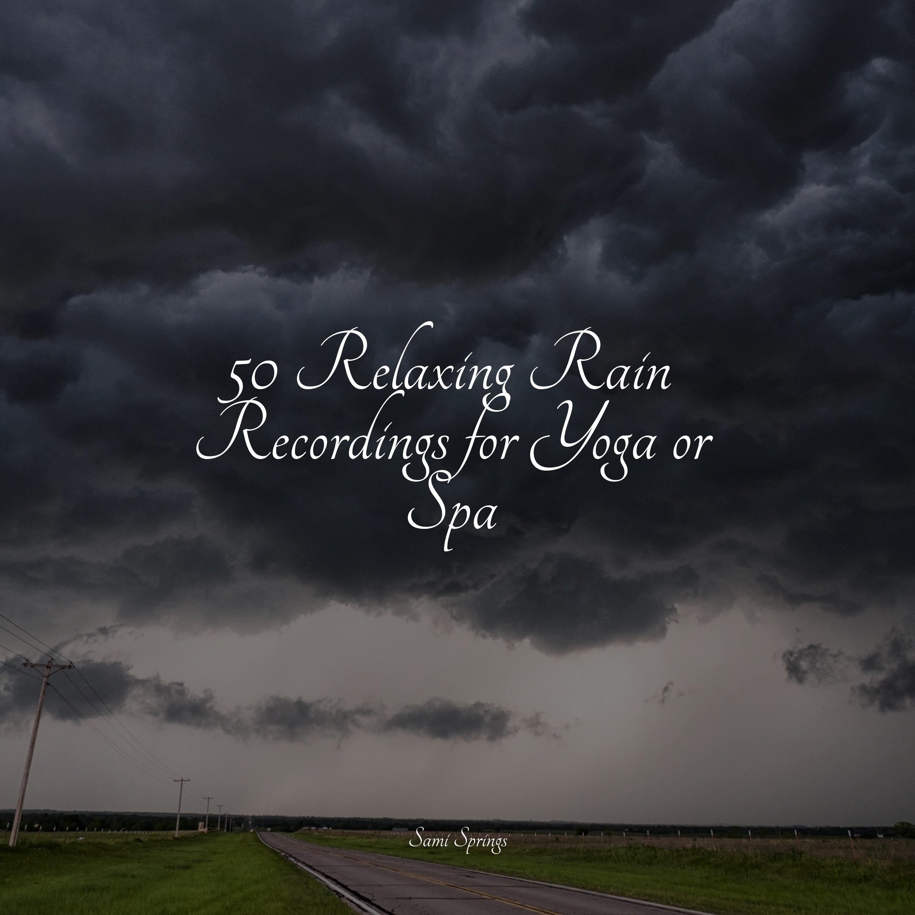 50 Relaxing Rain Recordings for Yoga or Spa - nature & Sounds ...