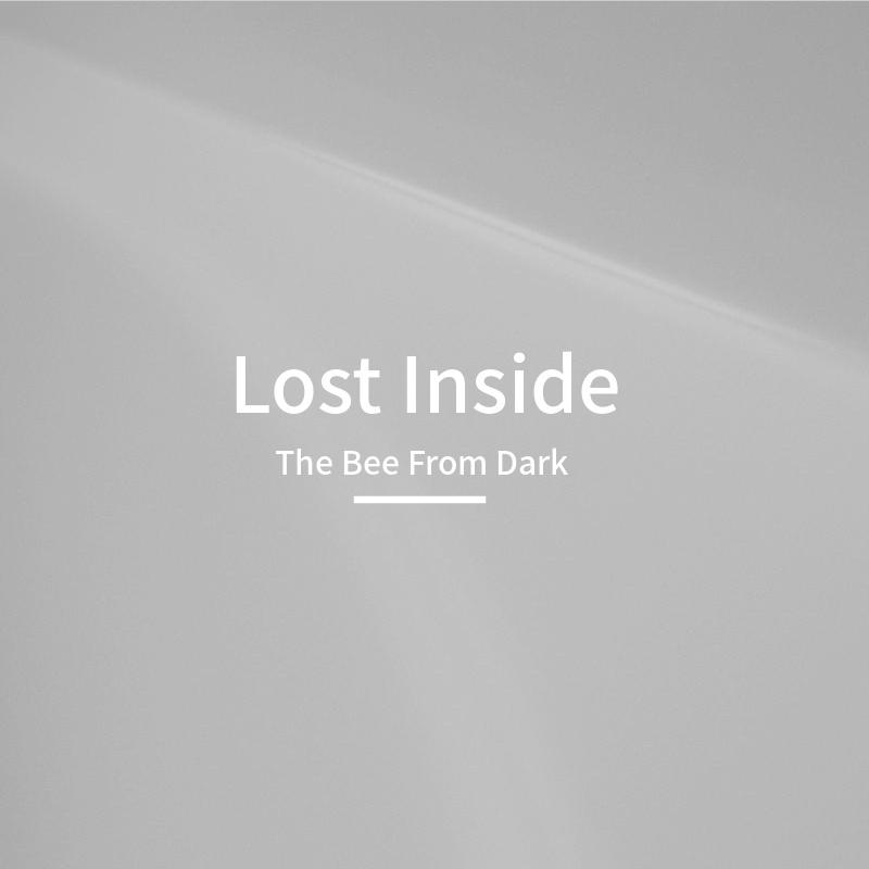 Lost Inside