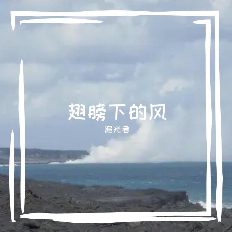 翅膀下的风封面