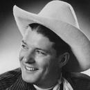 Ferlin Husky