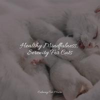 Healthy Mindfulness, Serenity For Cats