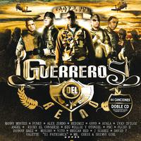 Guerreros del reino