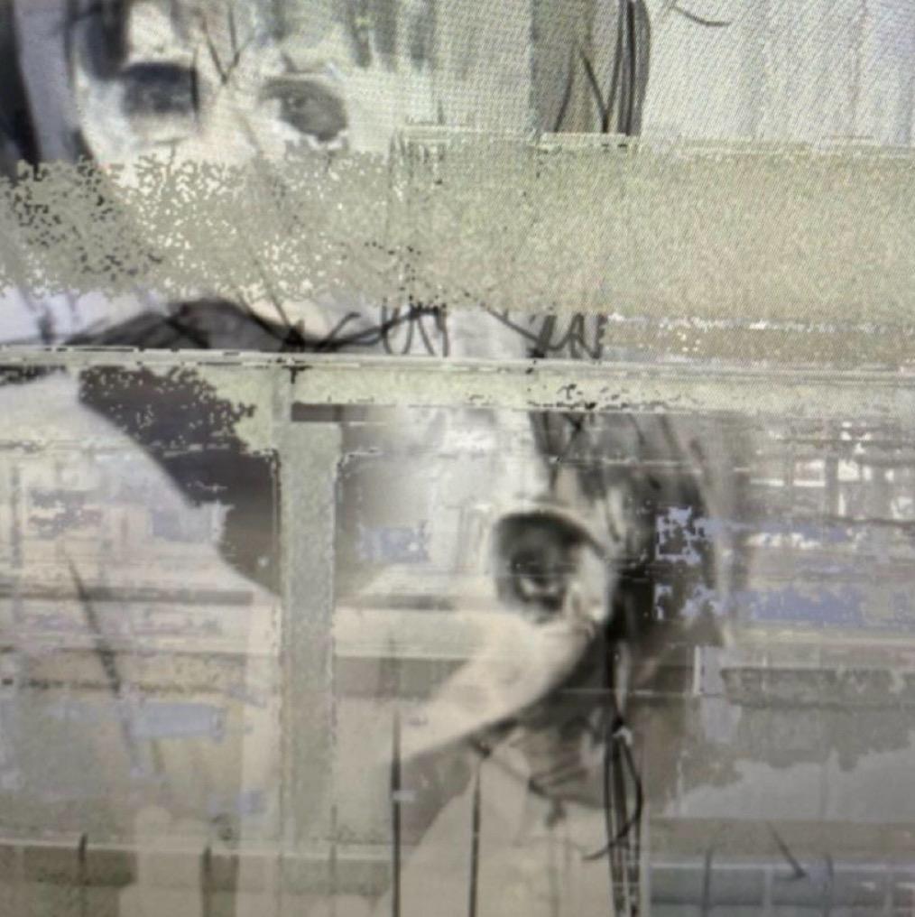 我猜不透我自己