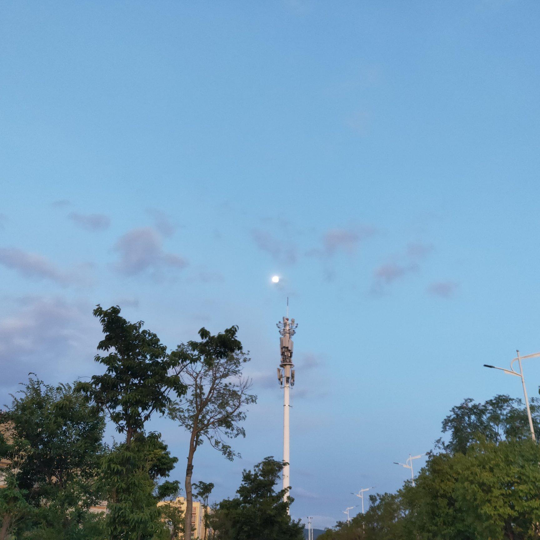 阳光下的茶晶色