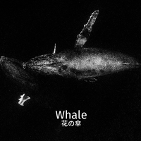 Whale