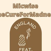 Micwise