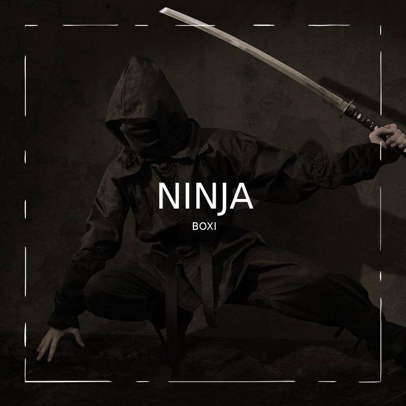 ninja