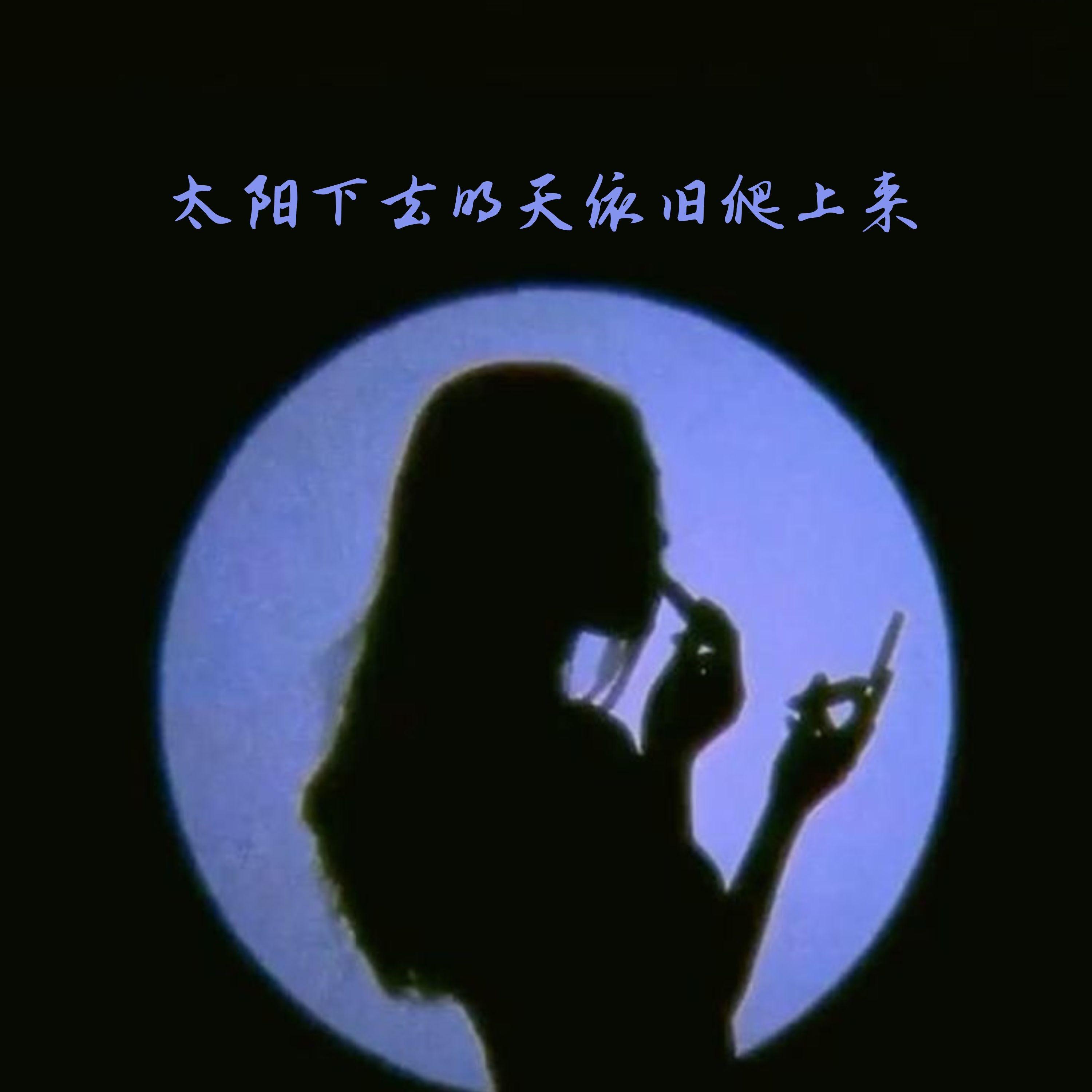 太阳下去明天依旧爬上来封面