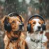 Music for Pets Library - Rain's Calm for Furry Friends