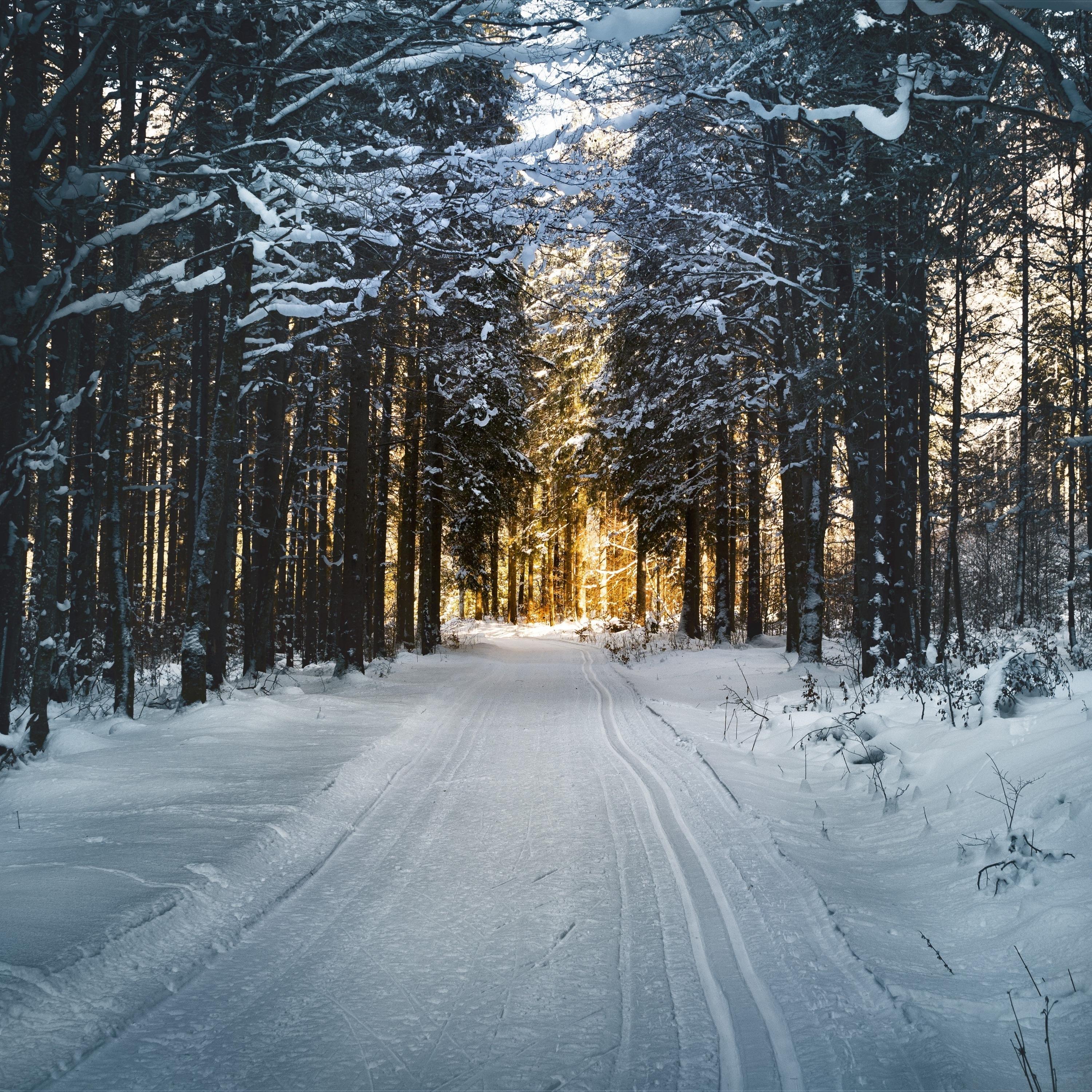 Tiny Tots with Their Eyes All A-Glow