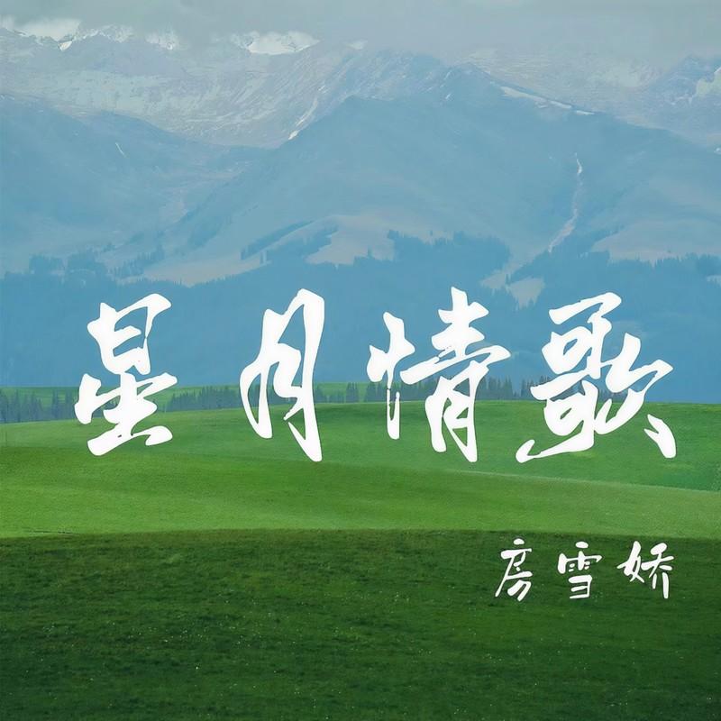 星月情歌(DJ版)封面