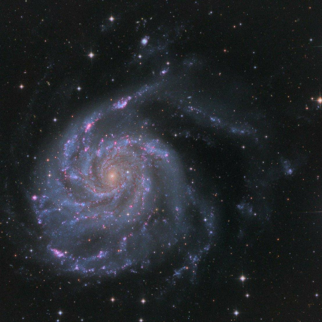 一问三不栀dehftn