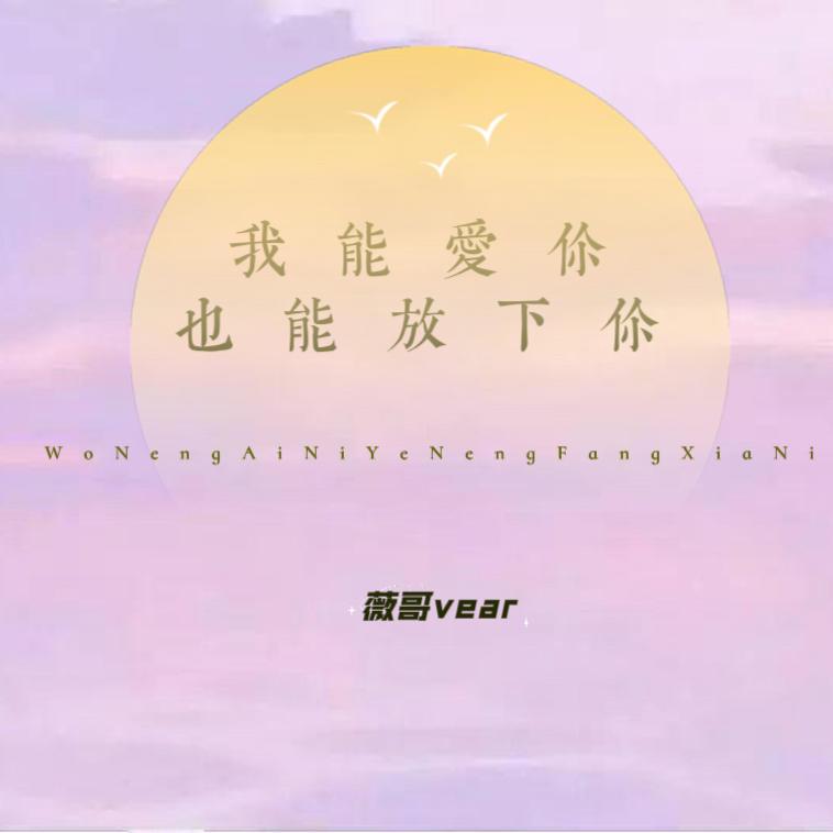 我能爱你也能放下你 (伴奏)封面