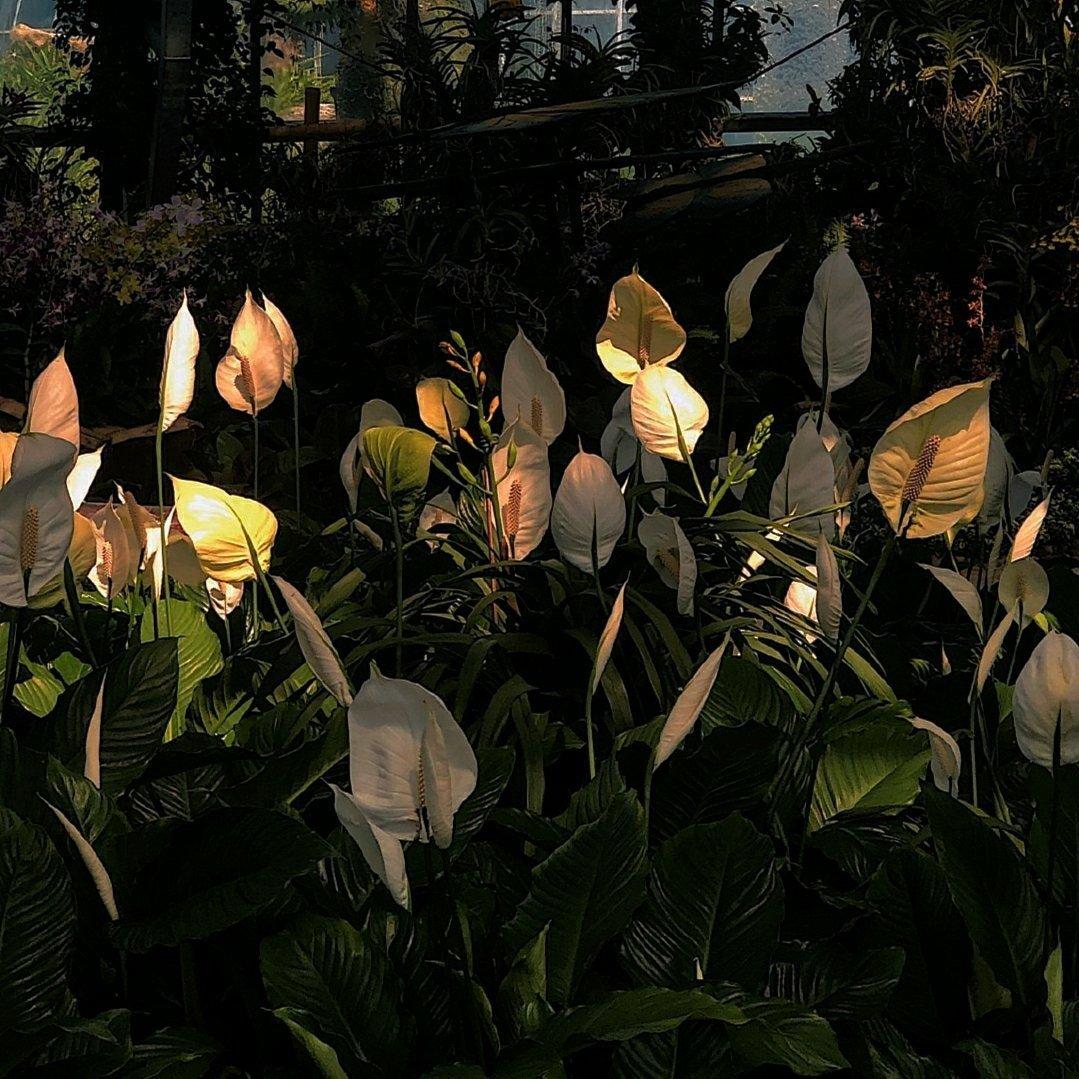 陈粒/jam/赵雷/陈鸿宇/伏仪/沈以诚/…