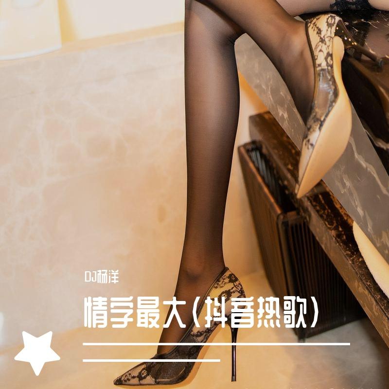 情字最大（抖音热歌）