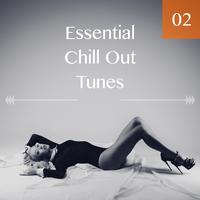 Essential Chill Out Tunes, Vol. 02