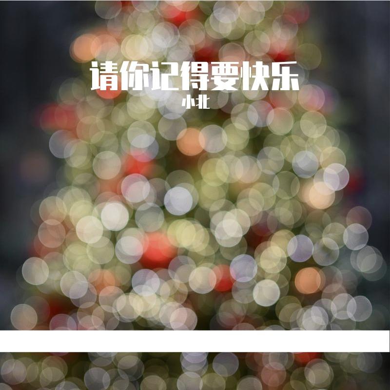 请你记得要快乐封面