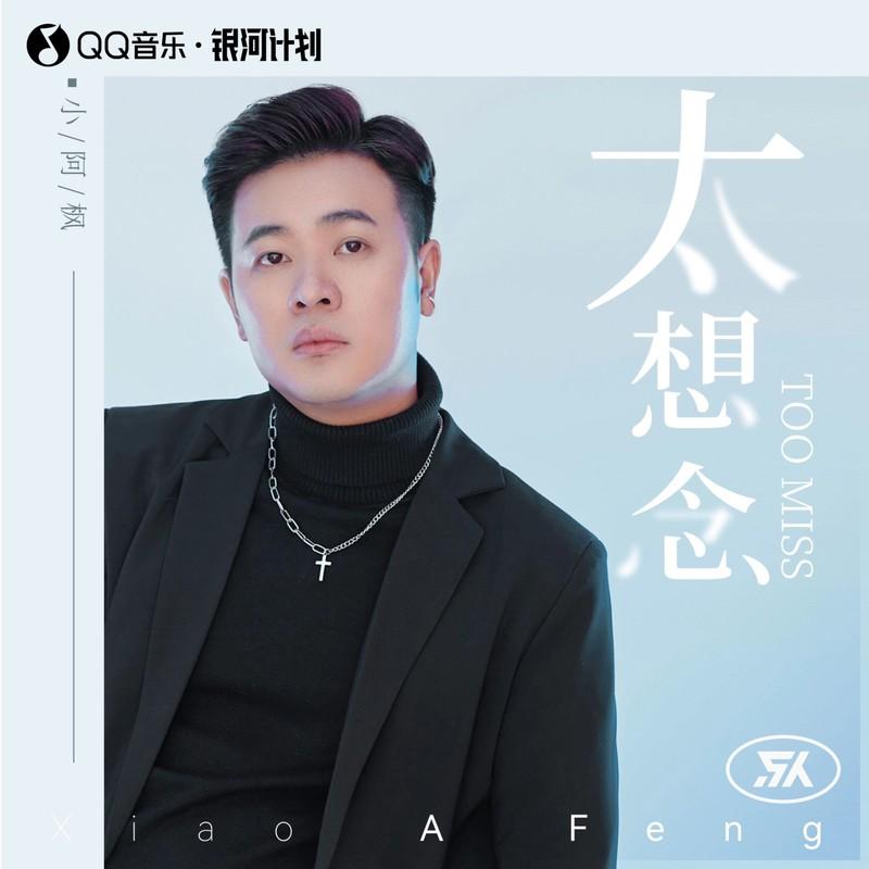 太想念(DJ版)封面
