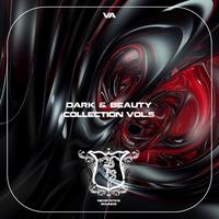 Dark & Beauty Collection, Vol. 4