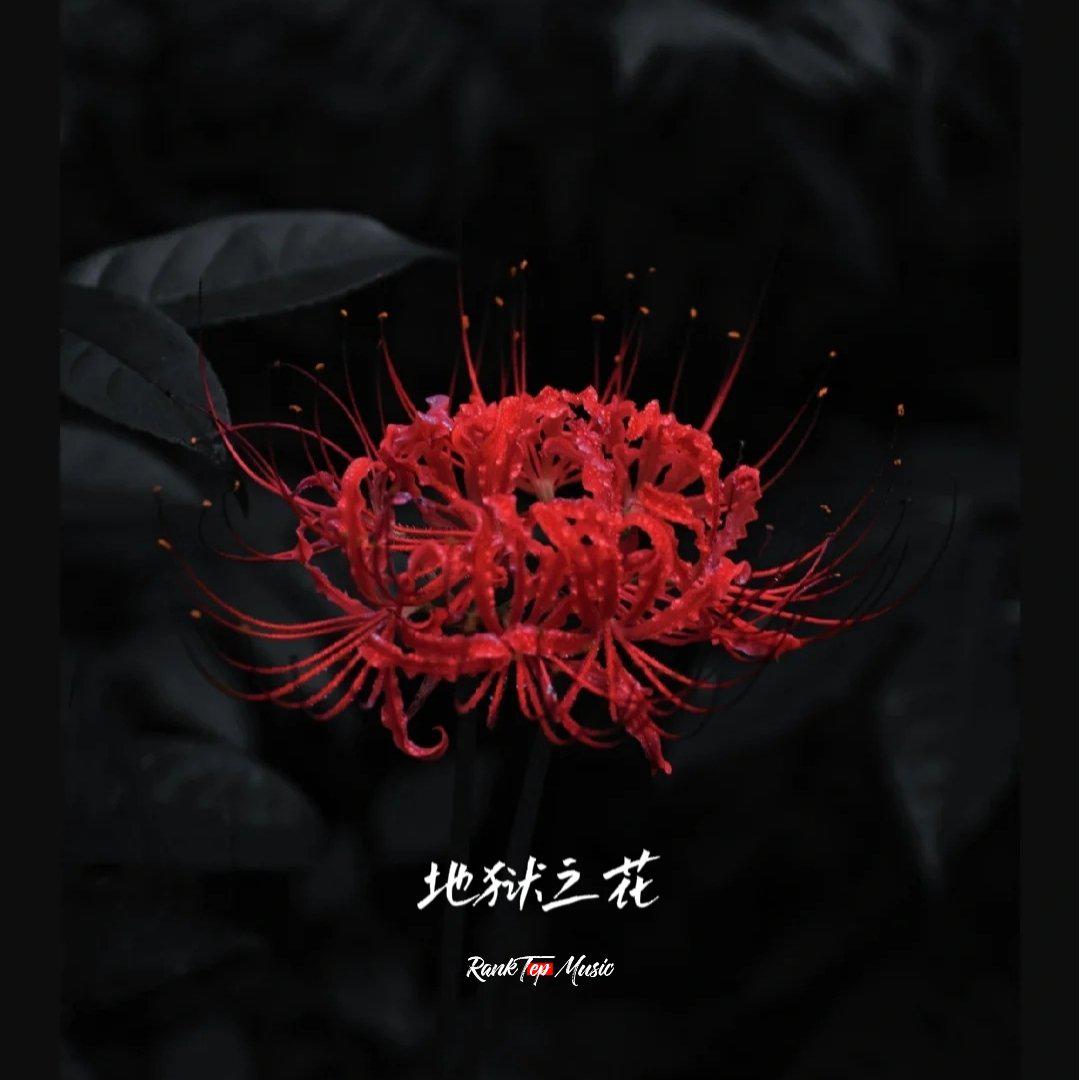 "地狱之花"epic drill type beat