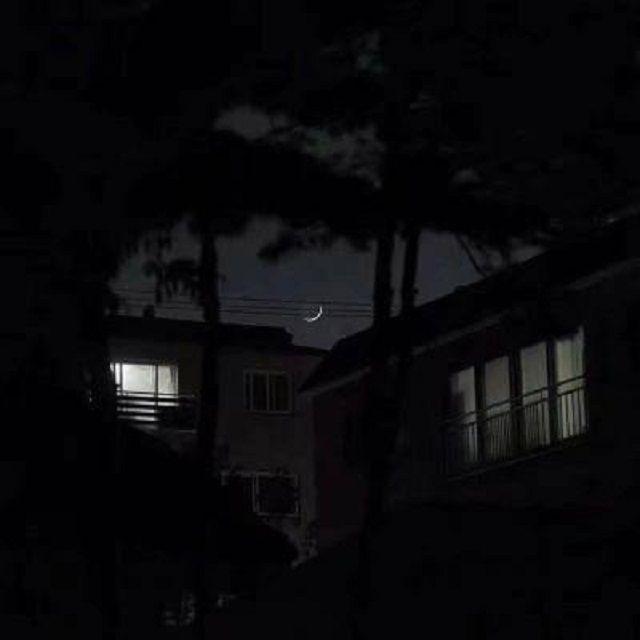 灿烂绽放封面