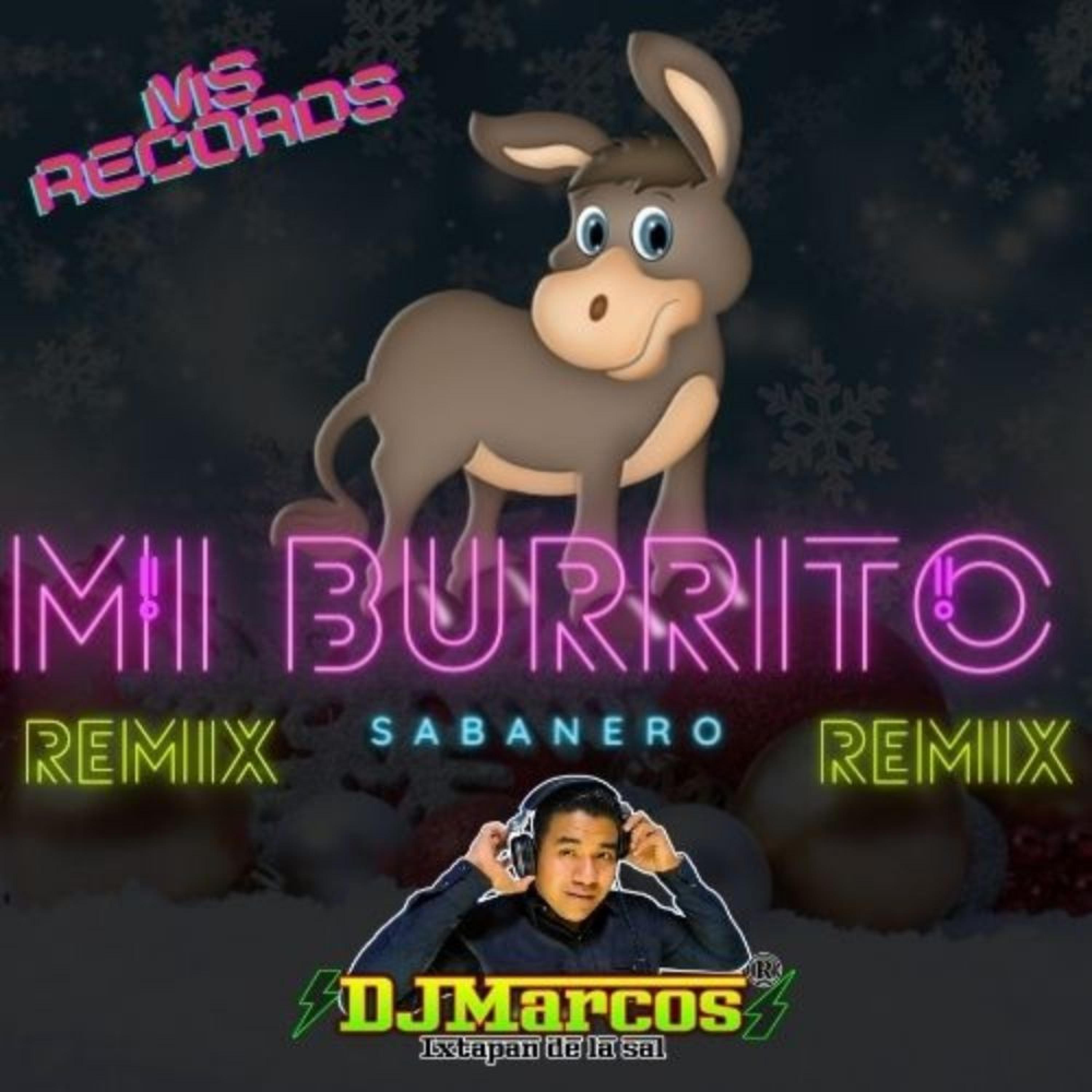 Mi burrito sabanero remix