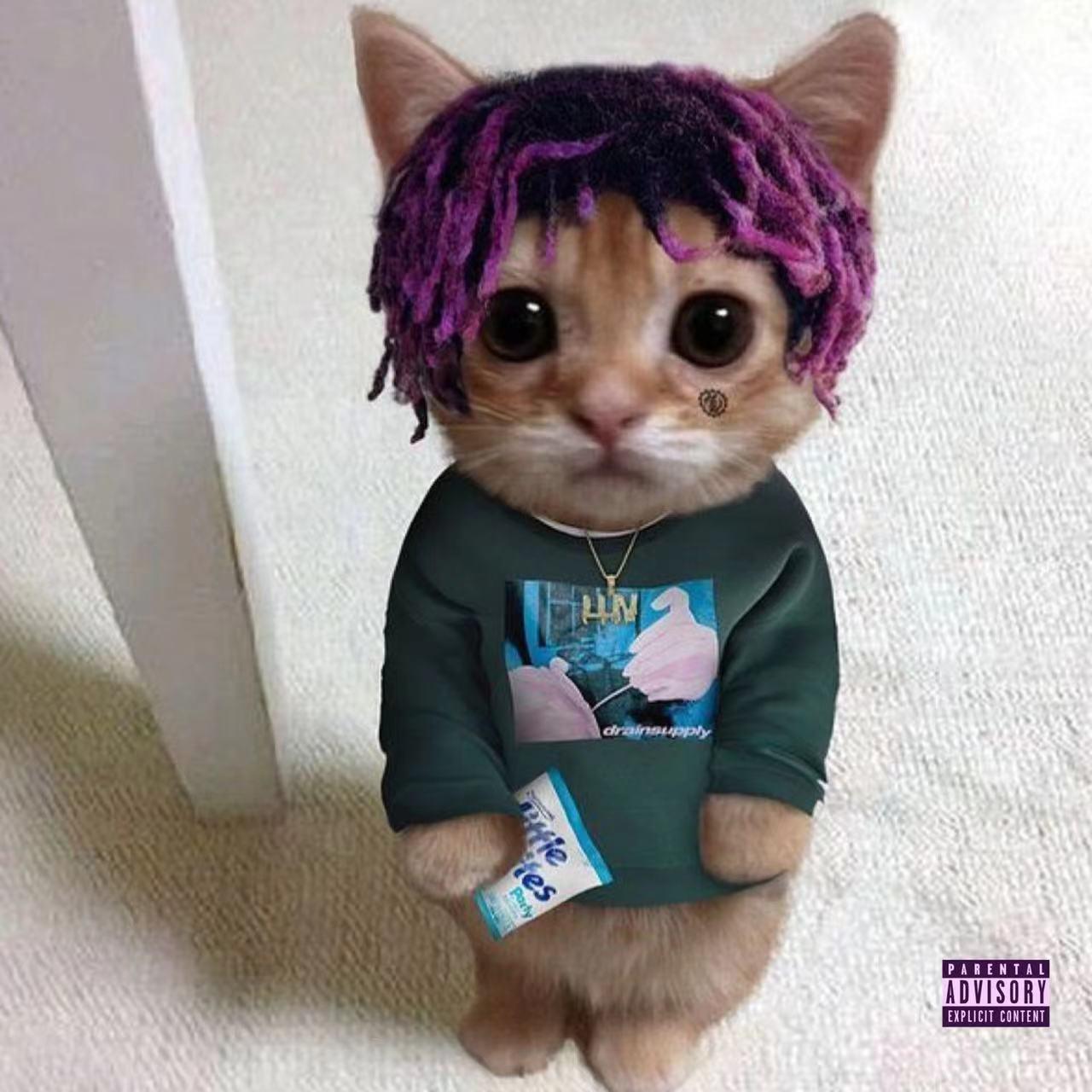 "Relaxing"水星记忆 Lil uzi vert hyperpop Type beat封面