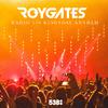 Roy Gates - Radio 538 Kingsday Anthem