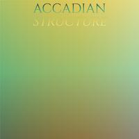 Accadian Structure