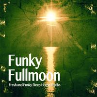 Funky Fullmoon, Vol. 1