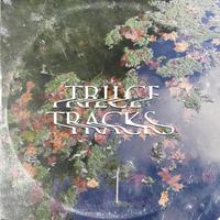 Trilce Tracks 2