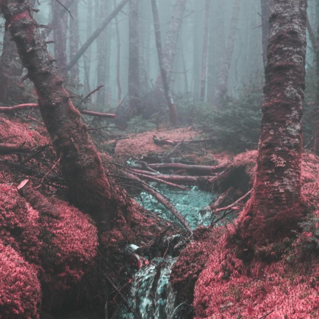 雾(prod. Furyl, 4_Chords)