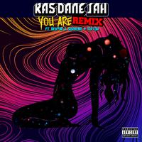 You Are (feat. Devyne J Supreme & TipTop) [Remix]