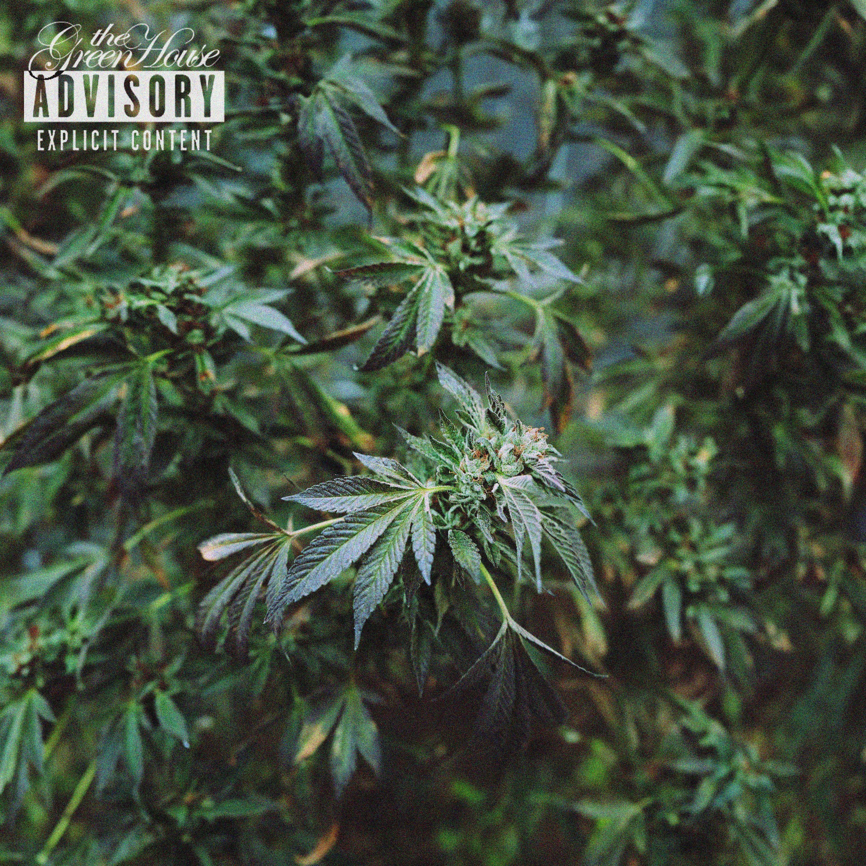 UNTITLED 06 (feat. STOCKCLIPZ, G FLACKO, ACOGCADE, $TATIXBANDZ, GEE LOU & YUNG PERCS)