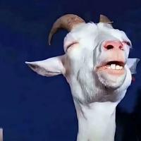 付俊乐资料,付俊乐最新歌曲,付俊乐MV视频,付俊乐音乐专辑,付俊乐好听的歌