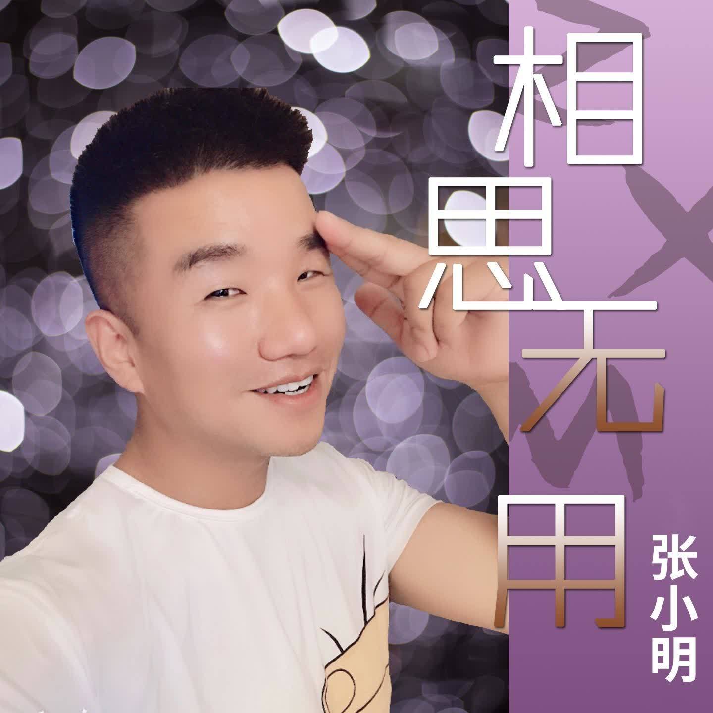 相思无用 - 张小明封面