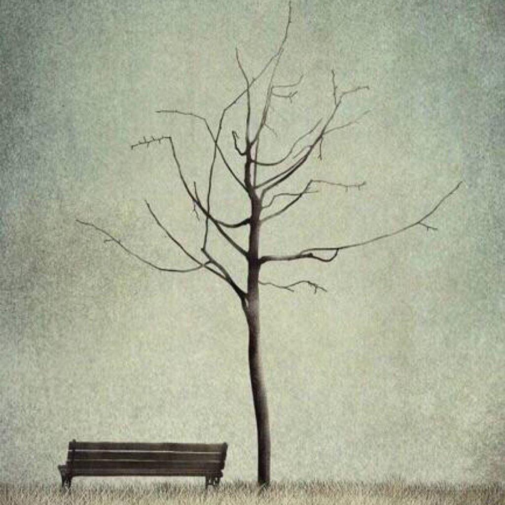 每首都能单曲循环的民谣。