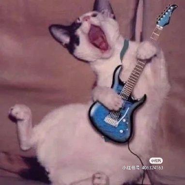 通缉绷带小飞船