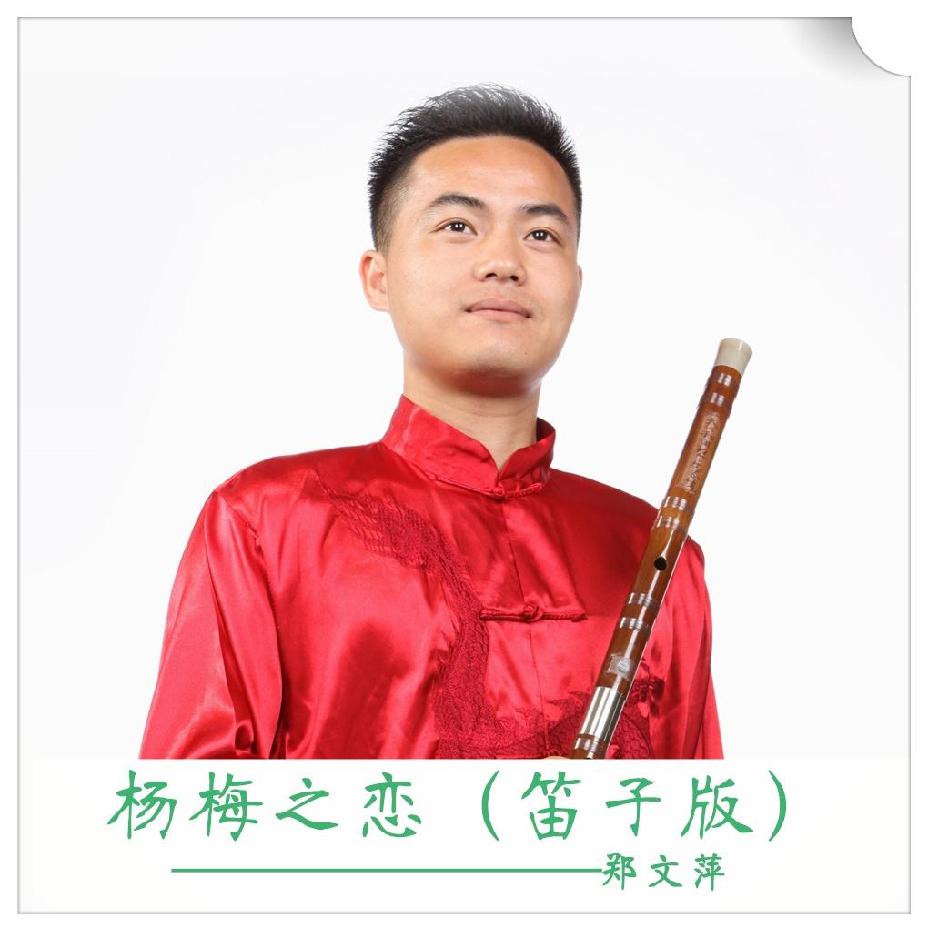 杨梅之恋 (笛子版)封面