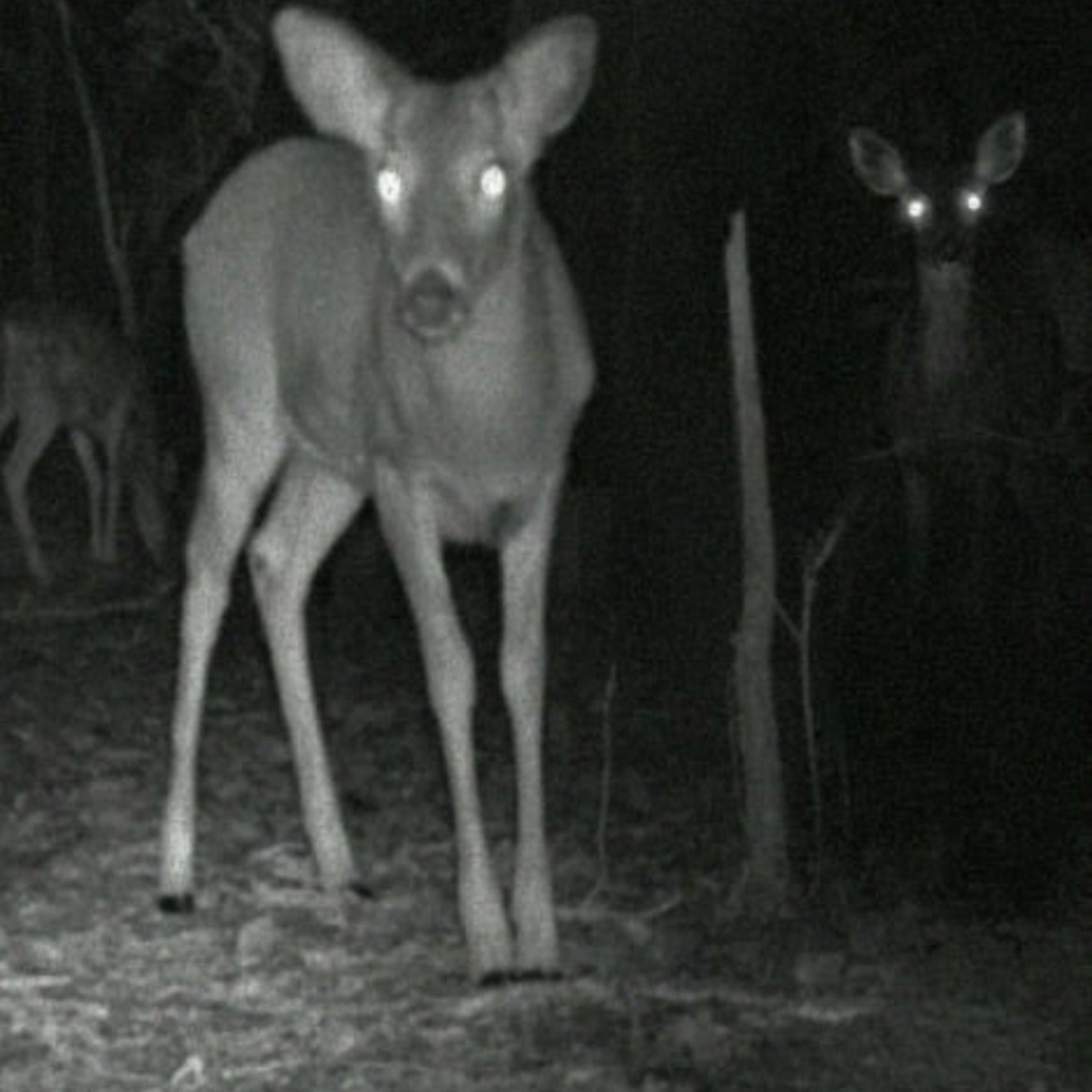 heaven (cant break free)