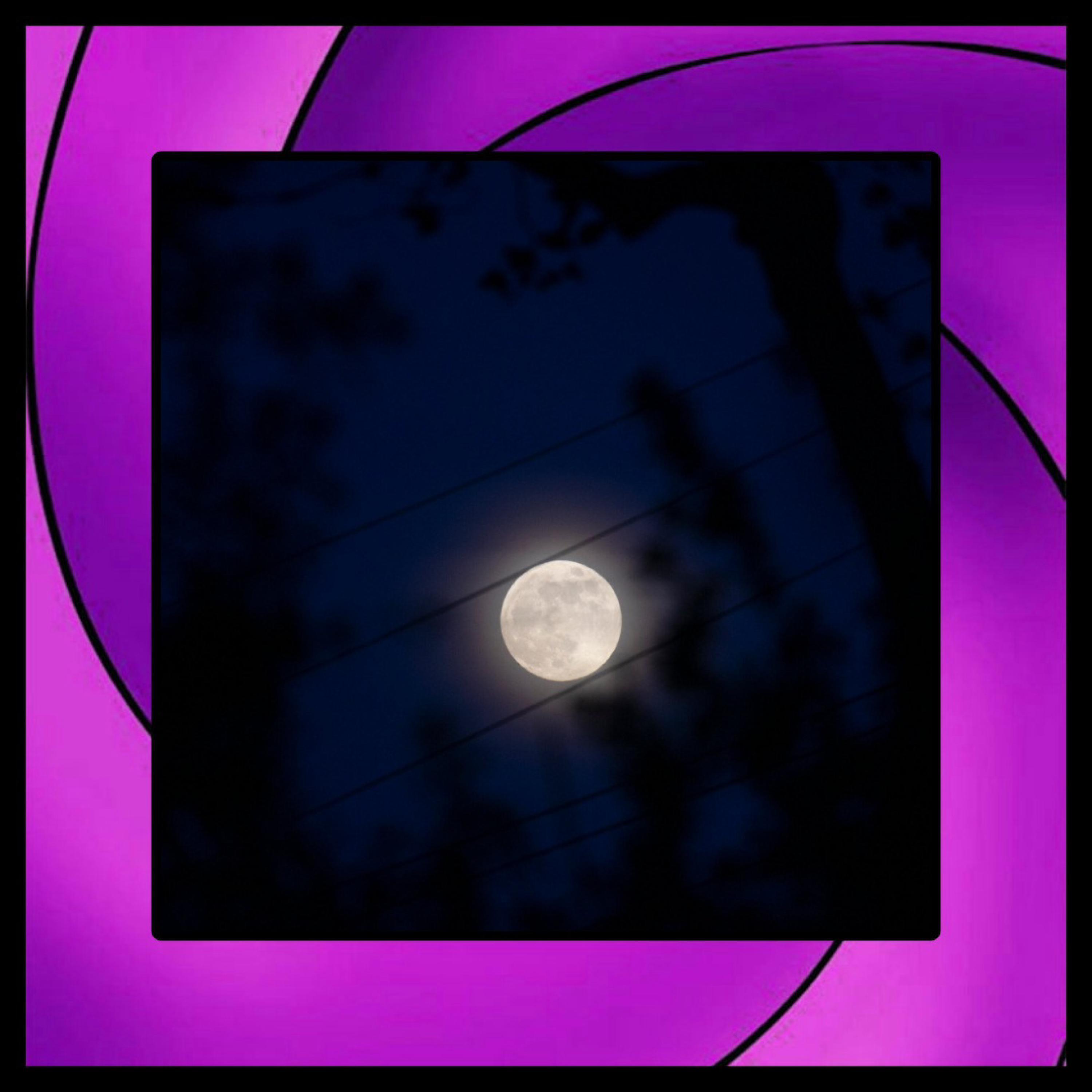 TOBI (feat. Hollow Donnie)